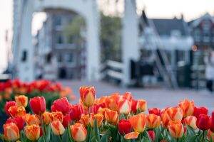 How to Plan a 5-Day Amsterdam Trip | Traveler Guide