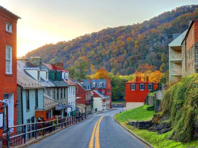Local Markets and Street Food: A Culinary Exploration