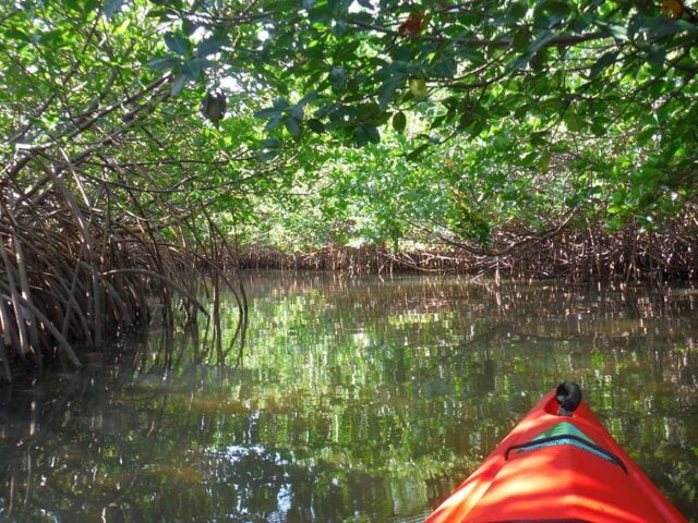 Experience the Best of Both Worlds: Resorts Offering Summer and Winter Activities