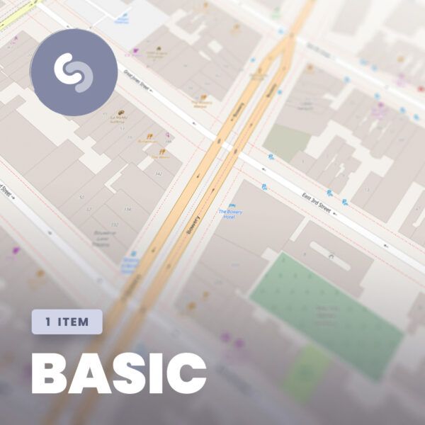Basic Subscription (Copy)